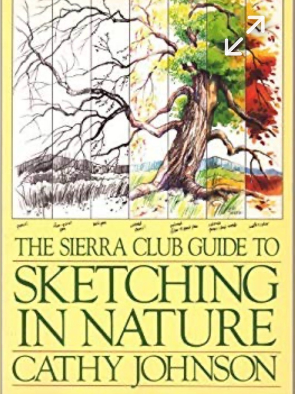 Drawing Bookset - Picture 2 of 15